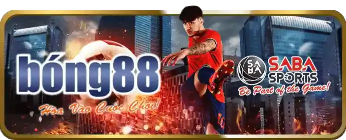 Cá cược bóng rổ, tennis, esports